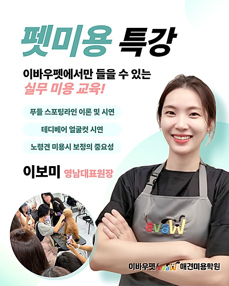 펫미용 특강 — 이보미 영남대표원장